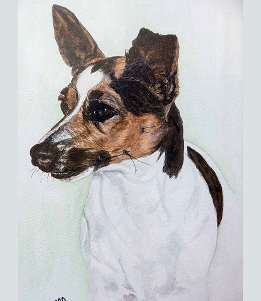 Maureen Owen Animal Portrait Artist, Manchester and Marbella.